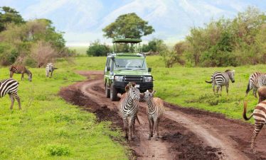 11 DAYS TANZANIA AND INDIAN OCEAN SAFARI EXPERIENCE