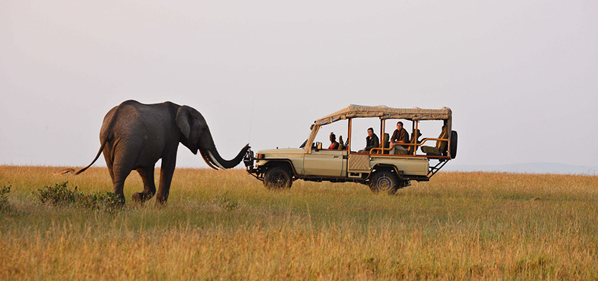 2-days-masai-mara-safari