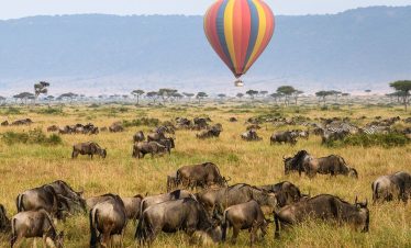 5  DAYS SERENGETI BIG FIVE SAFARI EXPERIENCE