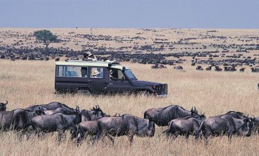 4 DAYS MASAI MARA GREAT MIGRATION  SAFARI EXPERIENCE