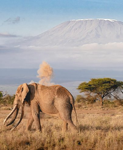 Serengeti