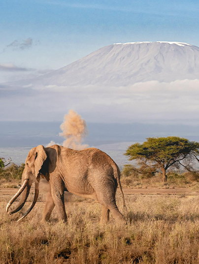 Serengeti