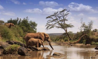 10 DAYS CLASSIC KENYA AND UGANDA SAFARI EXPERIENCE