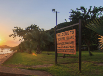 Ngamba Islanda