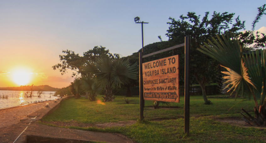 Ngamba Islanda